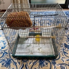 小鳥のカゴ　汚れたままです。の画像