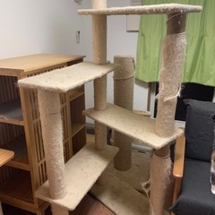 手前のキャットタワー