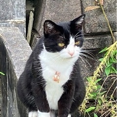 カメラ散歩メンバー募集