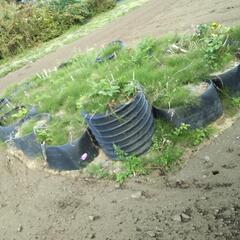 写真は使用例>土止め　　園芸などに　　黒いタンクの回り　一つあたり　切断したものの画像