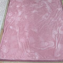 二重毛布 140×200 ②