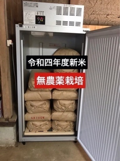 令和四年度産　無農薬　コシヒカリ　新米