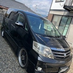 TOYOTA アルファード10 ※値下げしました(今回限り)