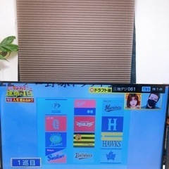 東芝REGZA50インチ