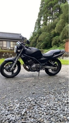 バリオス（書類なし）