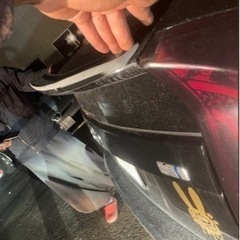 30プリウス 羽