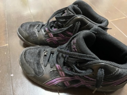 バッシュ　24.5