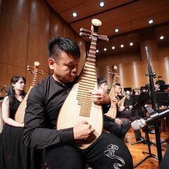 中国琵琶の家庭教師ー個人レッスンの画像