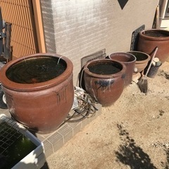 金魚　メダカ　鉢や道具一式