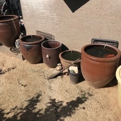 金魚　メダカ　鉢や道具一式の画像