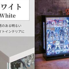 【魅せる贅沢！】ディスプレイ収納　 led付き 幅75 ライト付き 背面ミラー ショーケース 鍵付きの画像