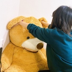 【引取り希望】くま 特大ぬいぐるみ テディベア