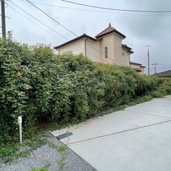 剪定・伐採・草刈りならお任せ下さい❗️ − 群馬県