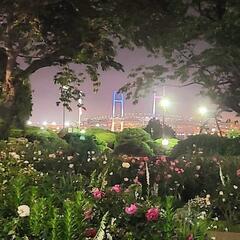 10月の週末に横浜の夜を一緒にジョギングしませんか？