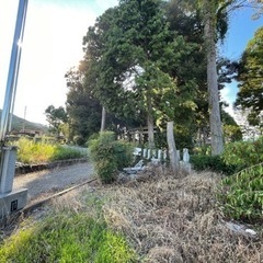 不破郡垂井町宮代　山林 280平方メートル　道路沿い - 不動産