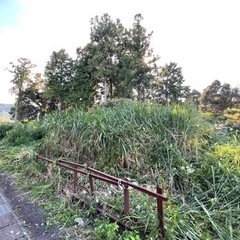 不破郡垂井町宮代　山林 280平方メートル　道路沿い - 岐阜市