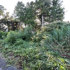 不破郡垂井町宮代　山林 280平方メートル　道路沿い - 土地販売/土地売買