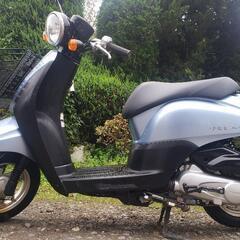 🛵大人気トゥディ-は‼️綺麗自宅即配送‼️の画像