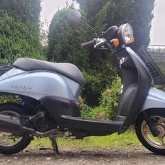 🛵大人気トゥディ-は‼️綺麗自宅即配送‼️の画像