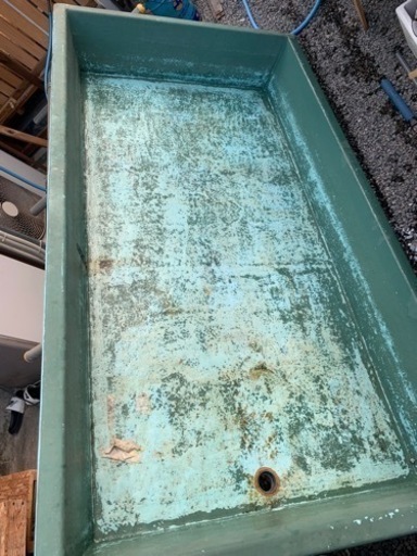 【取引中】FRP 水槽　池　らんちゅう　メダカ