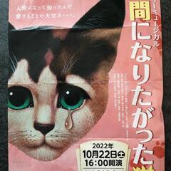 演劇　チケット　劇団四季　人間になりたがった猫　10月22日ひこ...