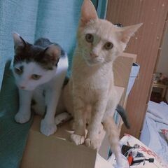 とても仲よしな兄妹！