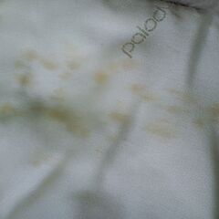 パロディ Palody ティペット ファーマフラーの画像