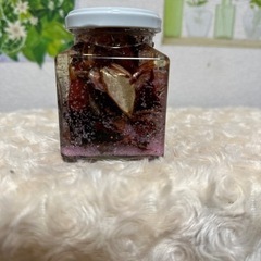 スノードームハーバリウムミニ