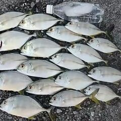 魚釣り　教えます。（ビギナー向け）