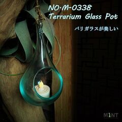 最終値下げ！テラリウムガラスポット（teardrop・新品）の画像