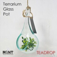 最終値下げ！テラリウムガラスポット（teardrop・新品）の画像