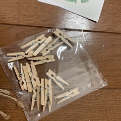 インテリアの飾り【新品】　額1枚、絵15枚、ピンチ15本、紐5本の画像