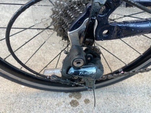 ダホン❗️visc evo ❗️2019