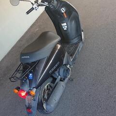 交渉中 受付終了します。原付バイク 50cc HONDA トゥデイ       の画像