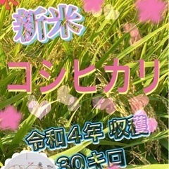 ♦️♦️♦️新米コシヒカリ♦️♦️キャンペーン中♦️05151