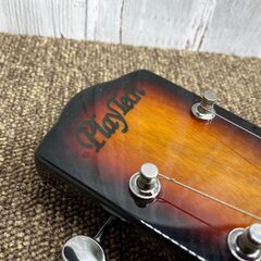 【愛品館八千代店】PlayTech　LS100SB　スティールギター の画像