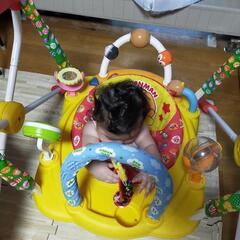 アンパンマンジャンパルー(中古)の画像