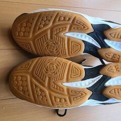 mizuno　バレーボールシューズ　26.5センチの画像