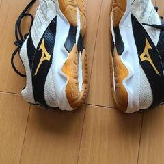 mizuno　バレーボールシューズ　26.5センチの画像