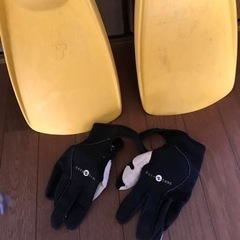 フィン 、手袋　メッシュバックの画像