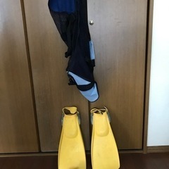 フィン 、手袋　メッシュバックの画像