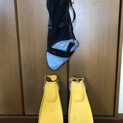 フィン 、手袋　メッシュバックの画像