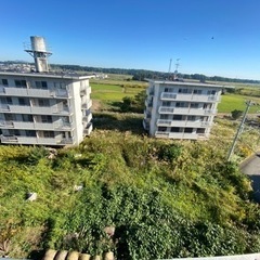 弊社所有マンション（入居者無し）の敷地内草刈り