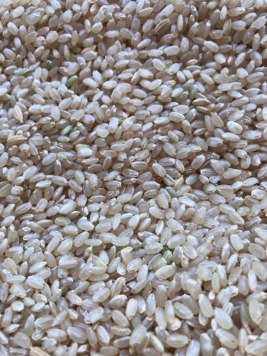 キヌヒカリ　玄米30kg 令和3年産 02