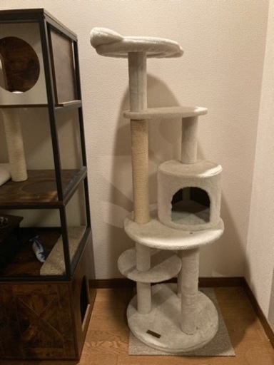 キャットタワー