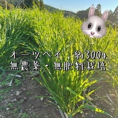 🐰オーツヘイ　300g
