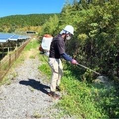 除草散布