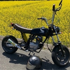 エイプ50 80ccの画像