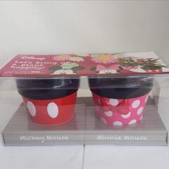 お値下げしました【ディズニー　ミッキー・ミニーマウス２個入りの２...