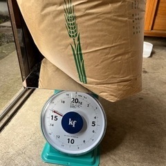 【一旦受付停止】古米令和３年コシヒカリ玄米１６キロ